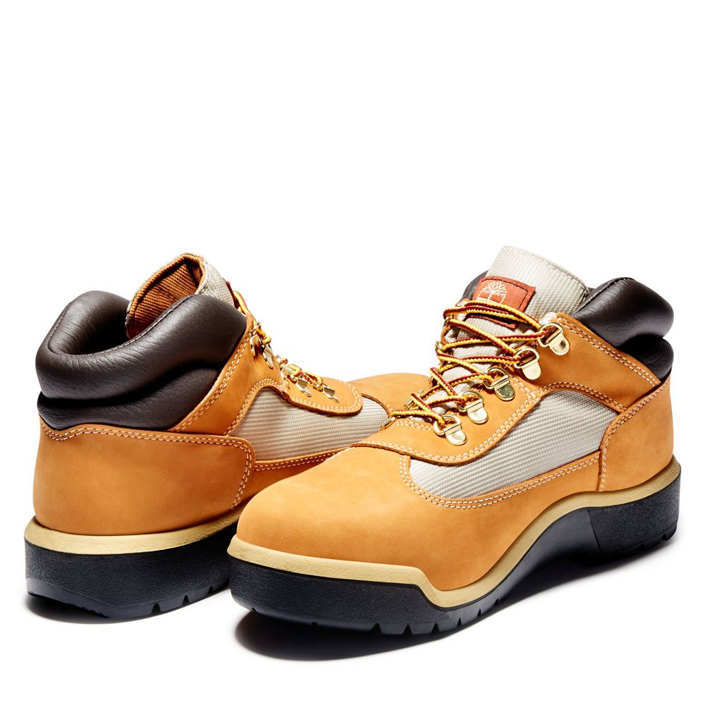 Timberland Αθλητικα Παπουτσια Ανδρικα Καφε/Μαυρα - Waterproof Field Boots - Greece 2105349-CM